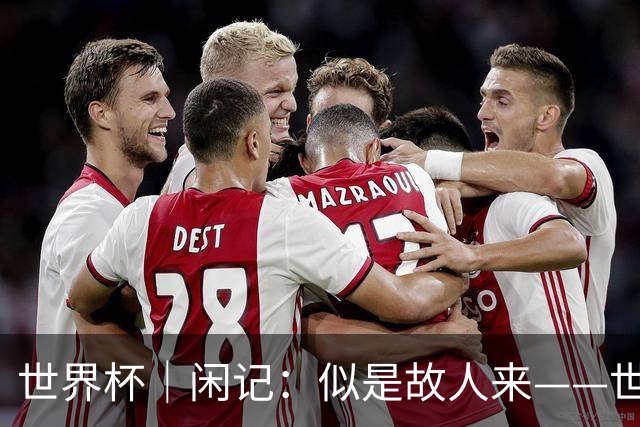 世界杯｜闲记：似是故人来——世界杯上的中超“老熟人”