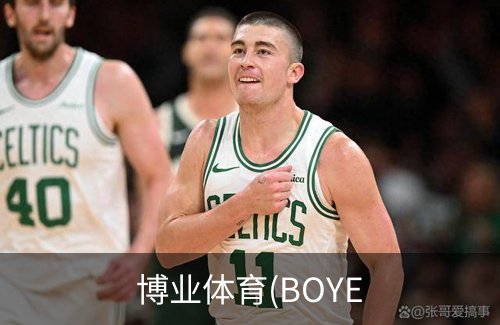 博业体育(BOYE简介
